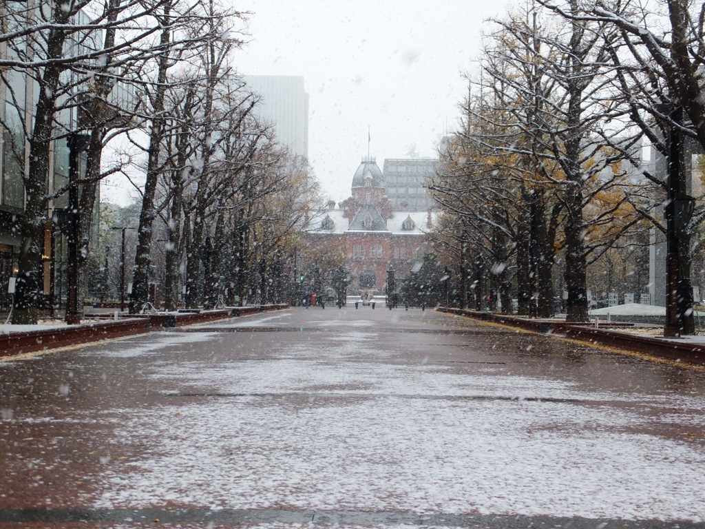 初雪二日目　旧北海道庁
