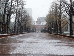初雪二日目　旧北海道庁