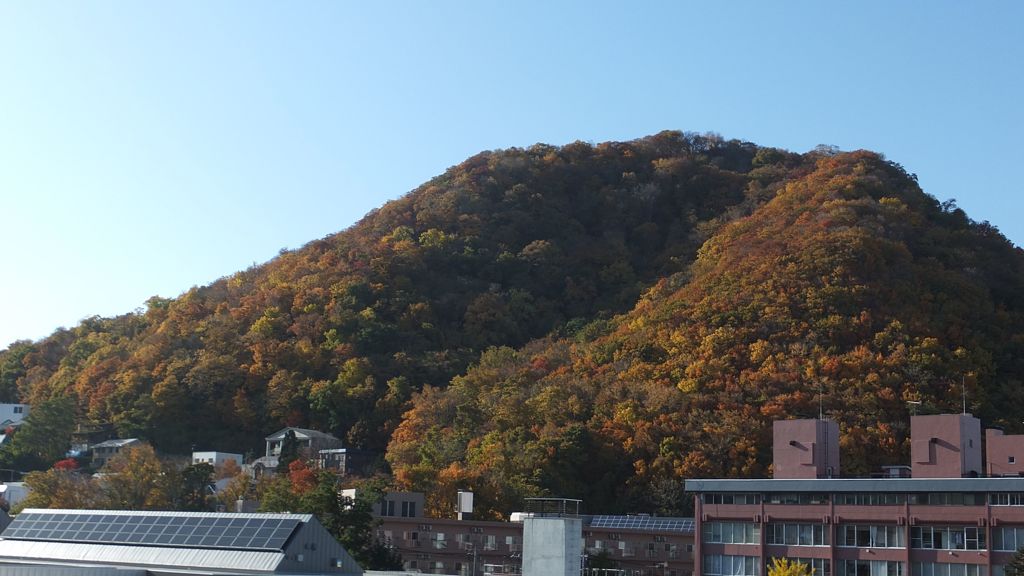 紅葉の山