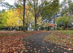 公園の秋　Ⅲ