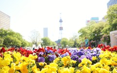 初夏の公園　Ⅱ