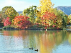 深まる秋　紅葉