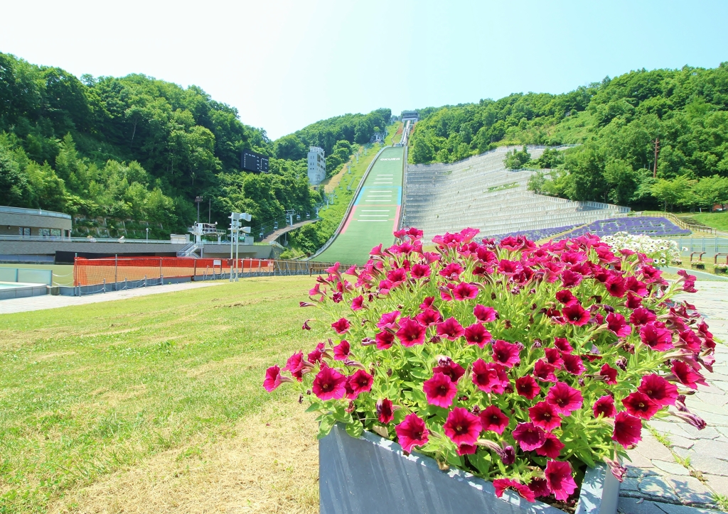 花とジャンプ台