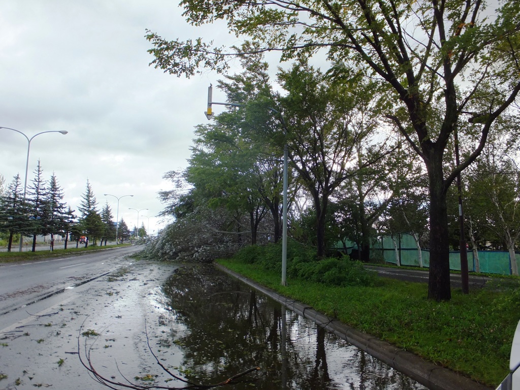 台風の爪痕速報　３