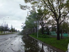 台風の爪痕速報　３