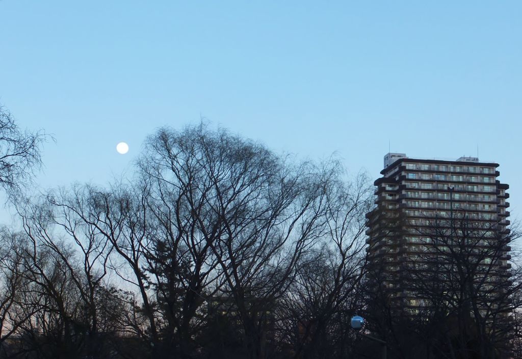 夕方の月とマンション