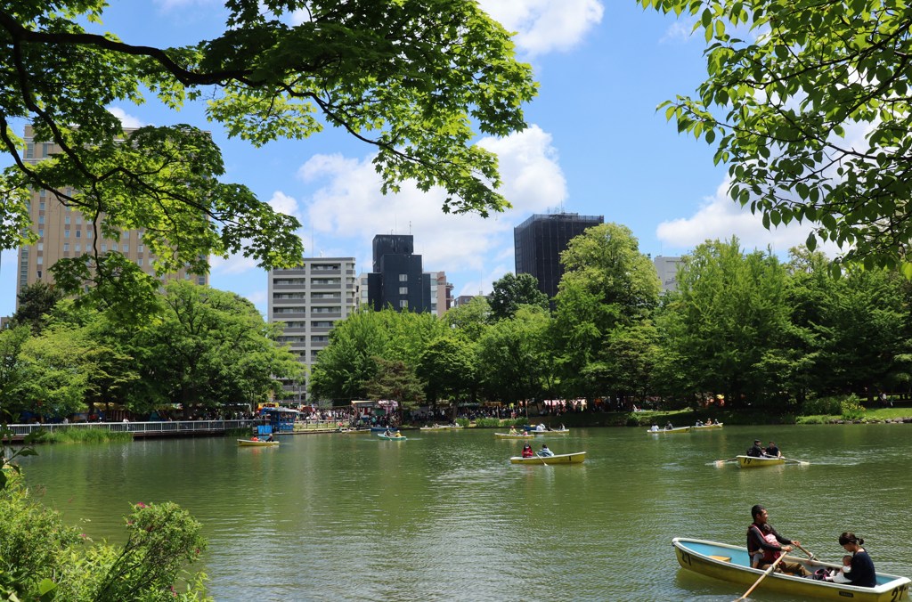 札幌散歩６５　中島公園の池