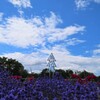 公園のシンボル
