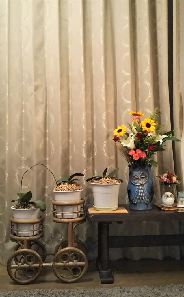 居間の花たち　１