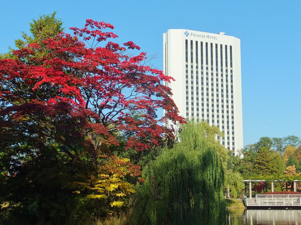 公園の紅葉　シンボルホテルと
