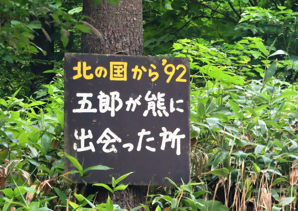 案内板