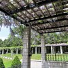 藤が咲く公園　６