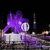 イルミネーションの季節　７
