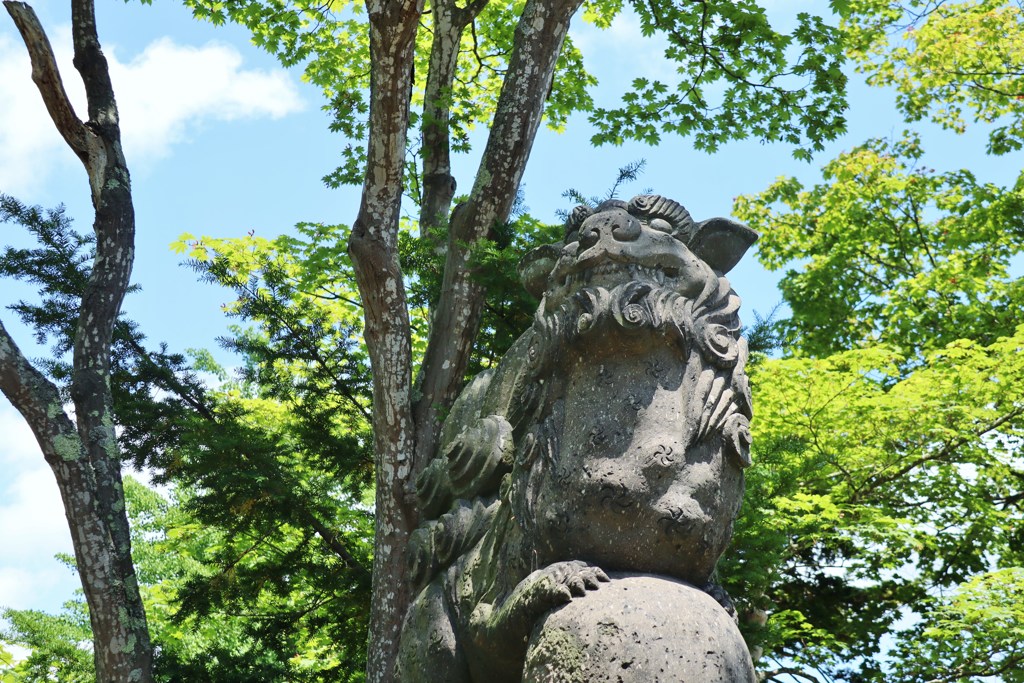 田舎街散歩４　狛犬