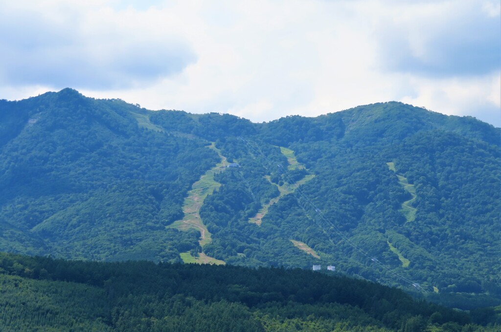 富良野スキー場