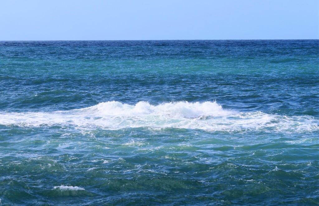 海