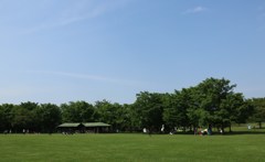 公園　緑豊か