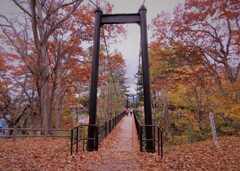 落ち葉の吊り橋
