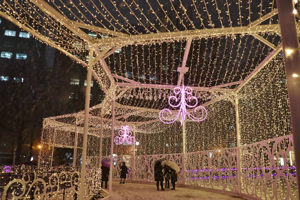 ホワイトイルミネーション　Ⅳ