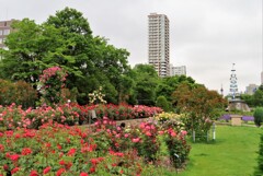 街中の花園　３