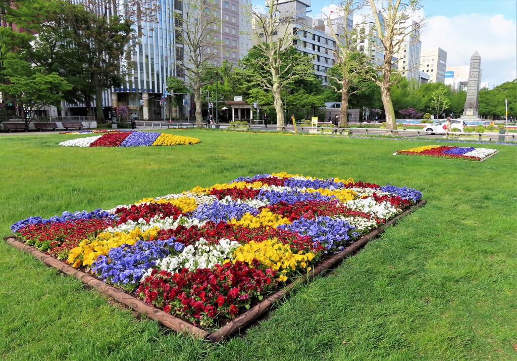 公園　すっかり初夏の雰囲気