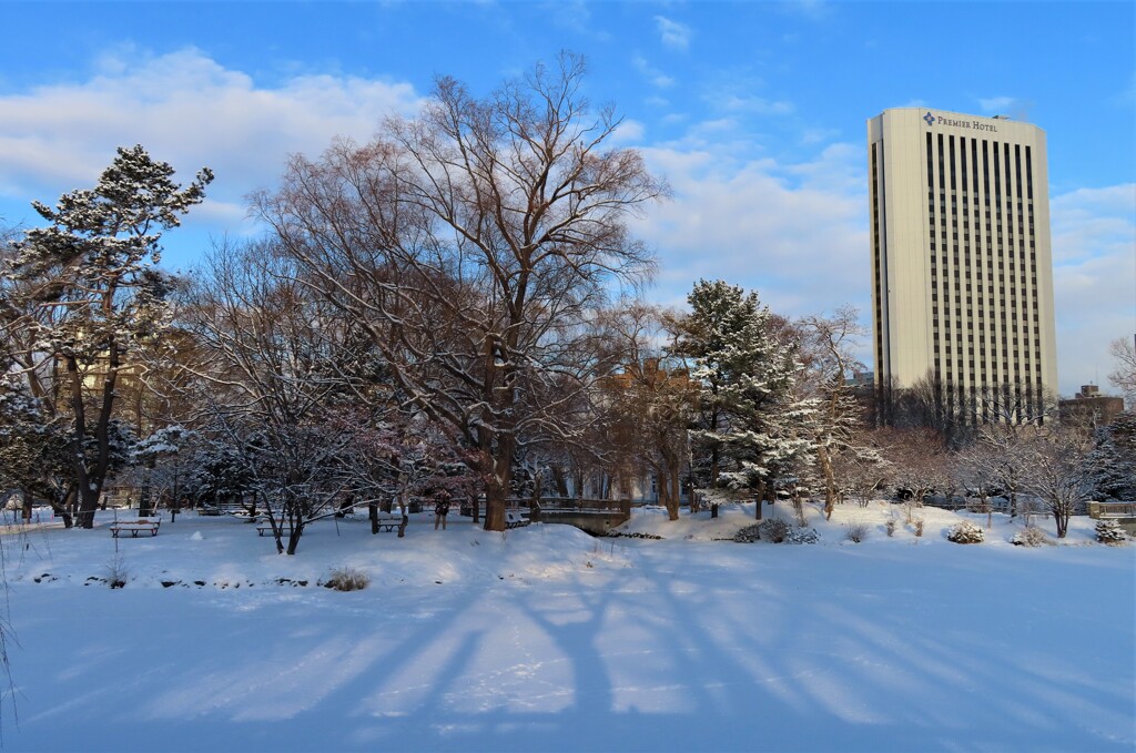 雪に浮かぶ影