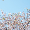 DSCF0228