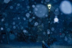 冬の街灯