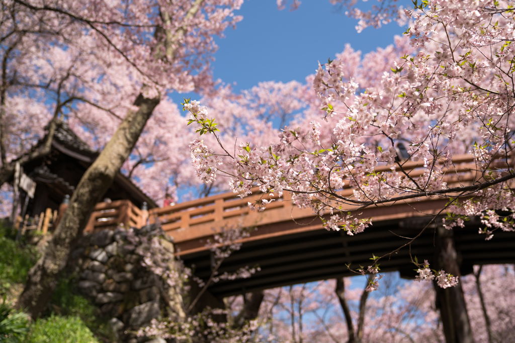 桜雲橋