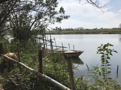 矢切の渡し