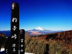 快晴のフジ
