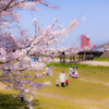 園児達のお散歩