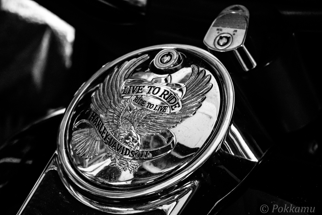 HARLEY DAVIDSON②