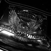 HARLEY DAVIDSON