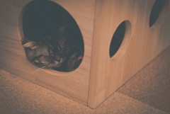 すやすや