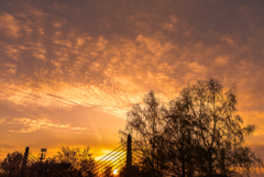 空