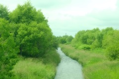 川と緑