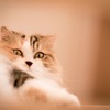 なに撮ってんの？