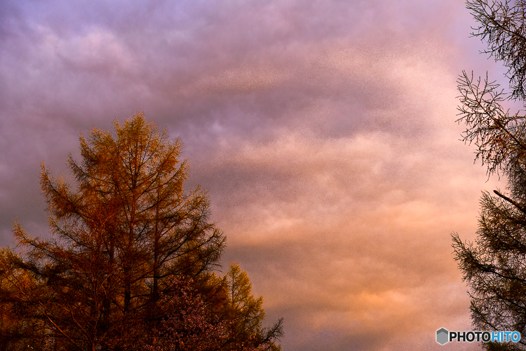 Magichour