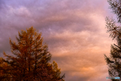 Magichour