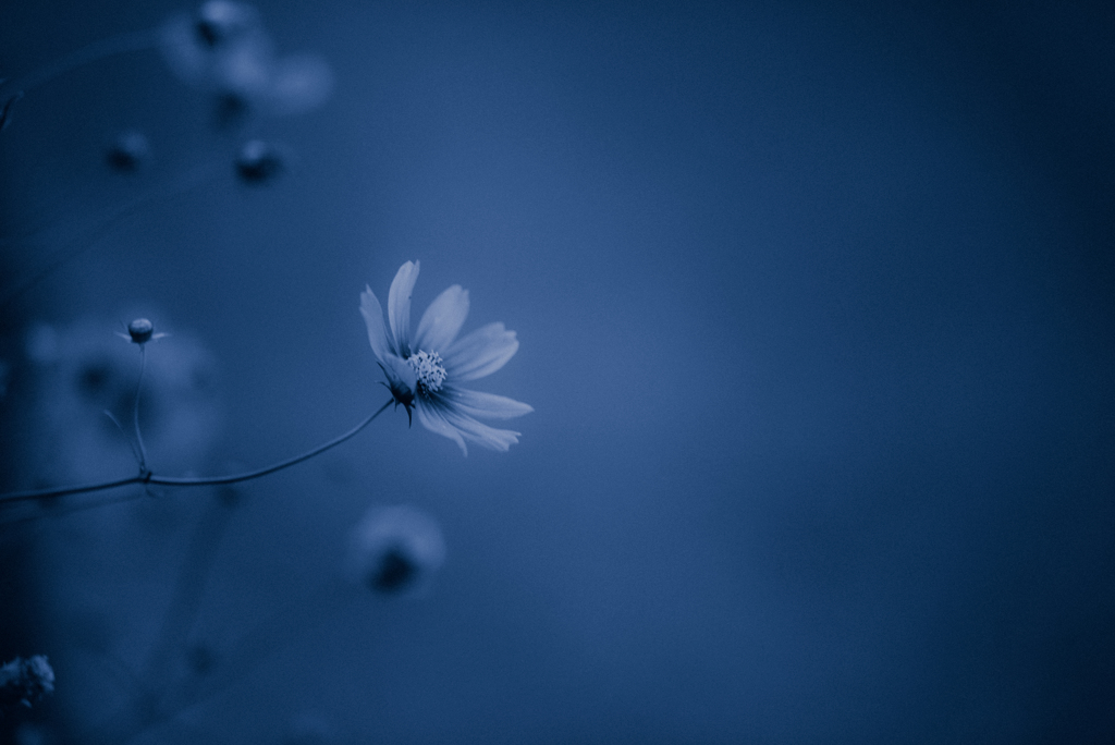blue