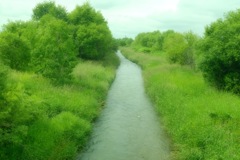 川と緑②