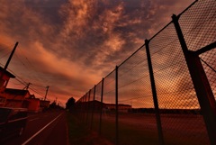 IMG_2123