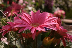 PICT0069