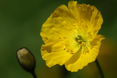 PICT0094