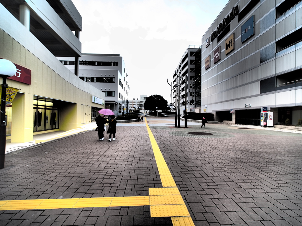 セルバテラス５