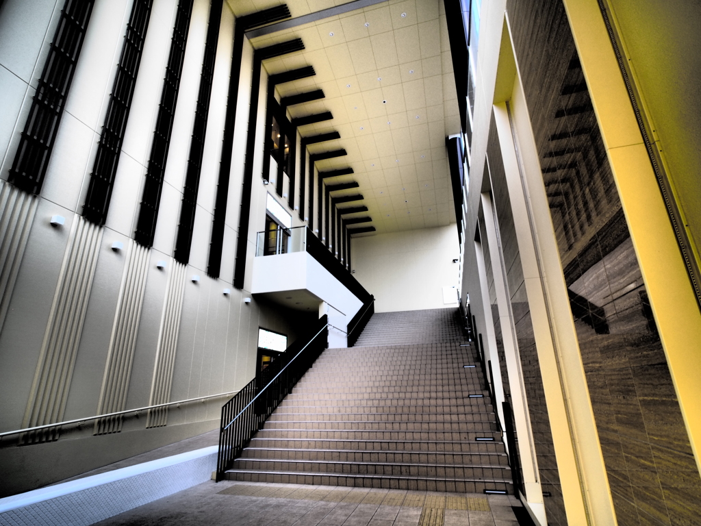 セルバテラス１