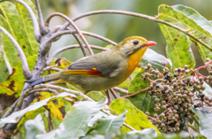 週末くらいには