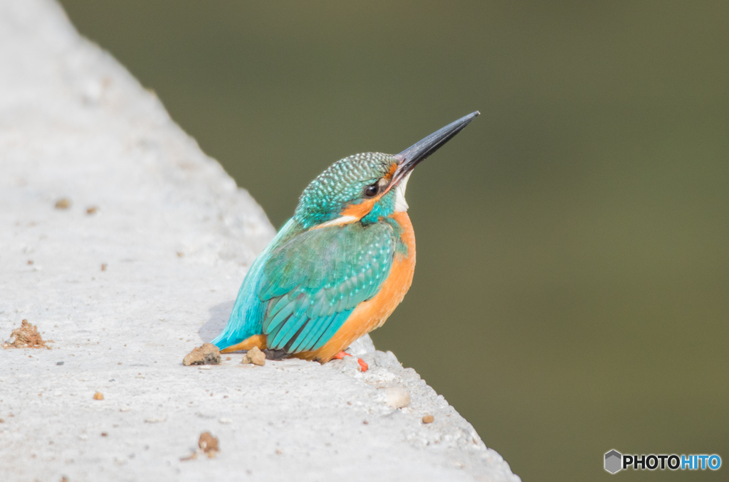 2018 最後の撮影