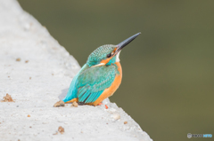 2018 最後の撮影